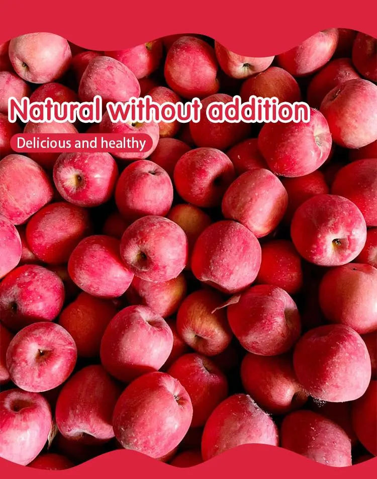 FUJI Red Fresh Apple China Origin Top Quality Rich Nutrition Good Price Free Sample