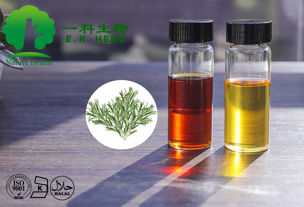 E. K Herb Factory Food Grade Rosemary Extract Carnosic Acid Oil 5%~20% High Effect Antioxidants for Meat Preservatives Carnosic Acid