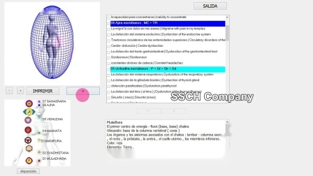 임상 분석 장비 8d Nls 기운 차크라 기계 전신 건강 분석기